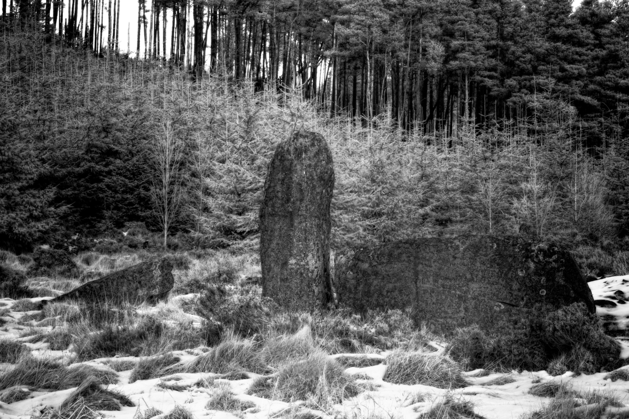 Whitehill  Stone Circle, Aberdeenshire, Scotland.